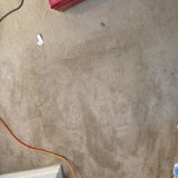  carpet spot removal 